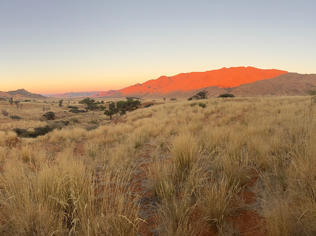 Barkhan Dune Retreat主图