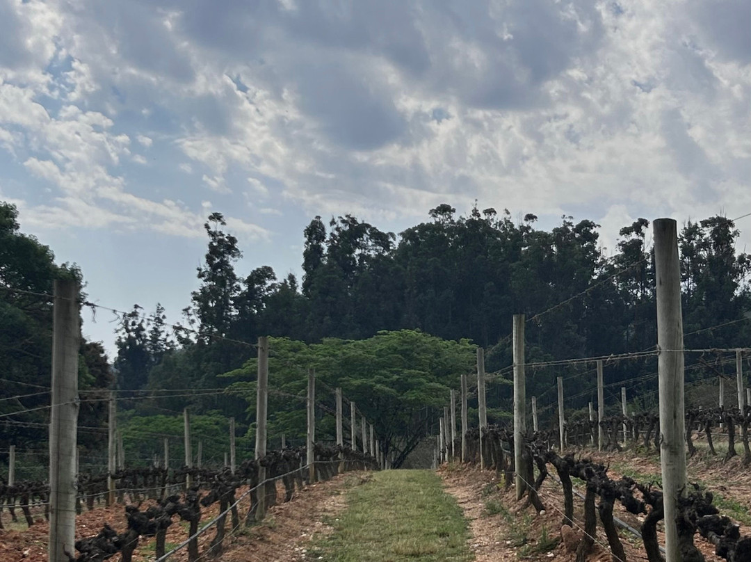 Vinícola Guaspari-Espirito Santo Do Pinhal必去景点