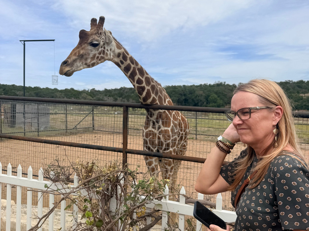 Giraffe Winery at Grapetown Vineyard-弗雷德里克斯堡必去景点