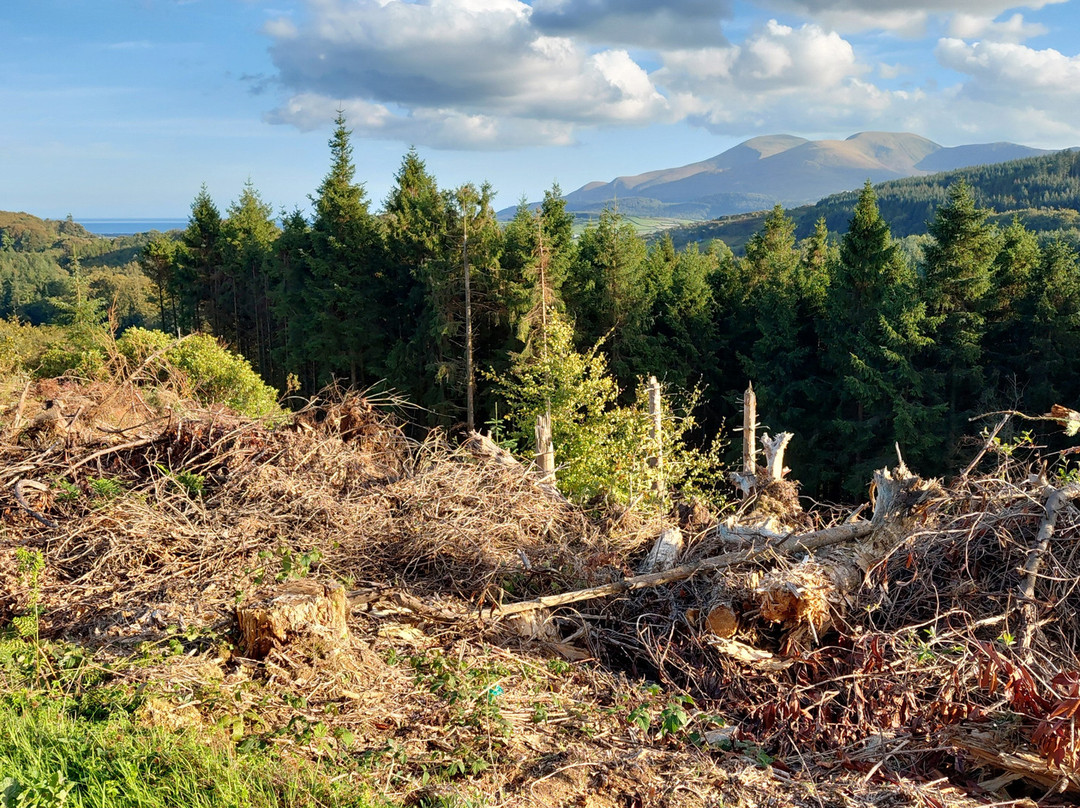 Castlewellan Forest Park-Castlewellan必去景点
