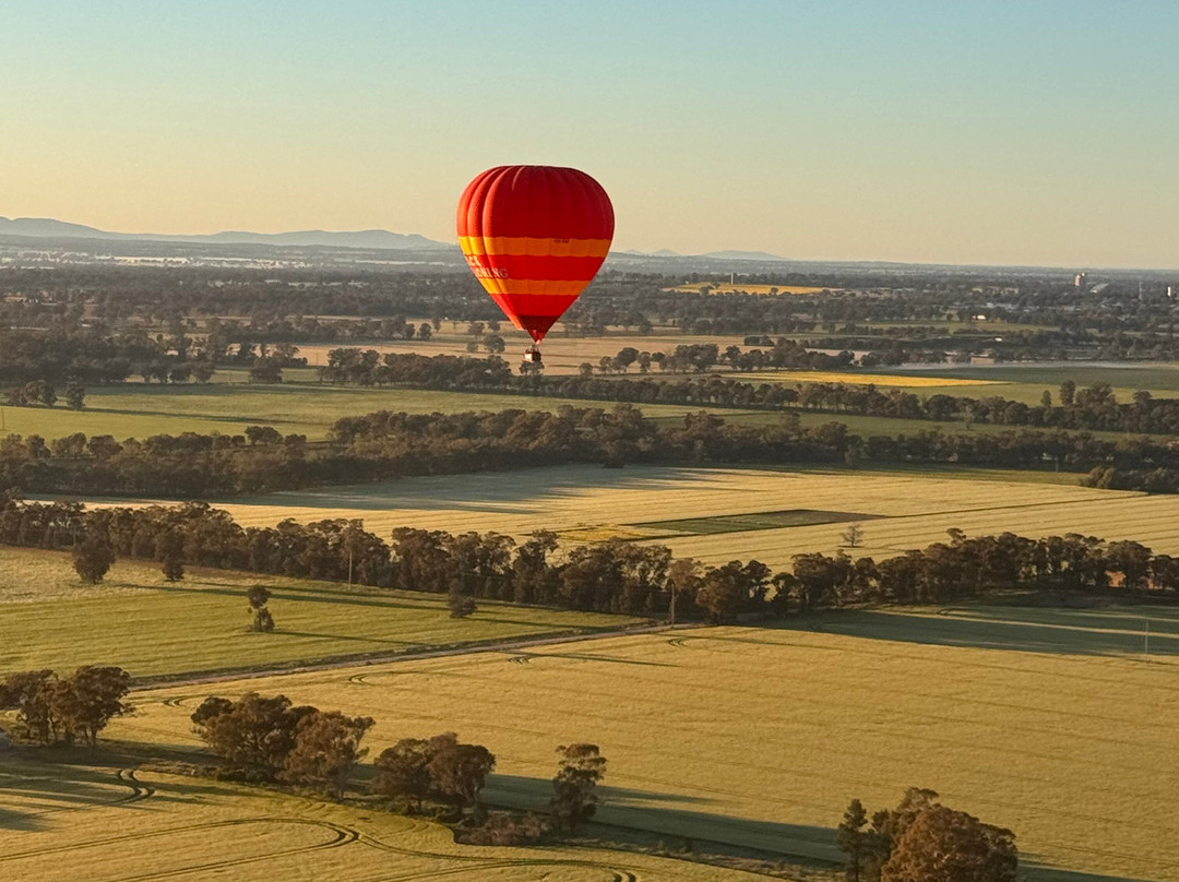 Goldrush Ballooning King Valley-King Valley必去景点