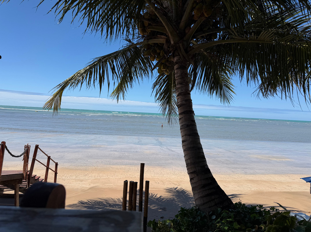 Praia de Japaratinga-Japaratinga必去景点