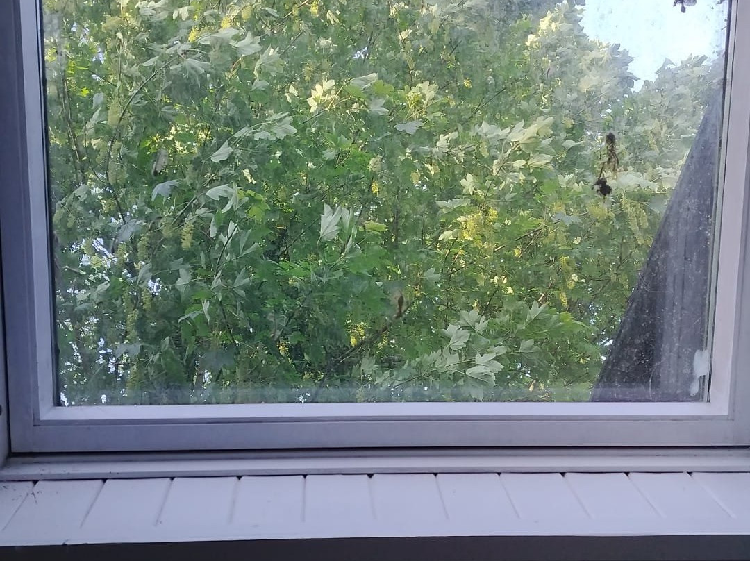 费雷格住宅主图