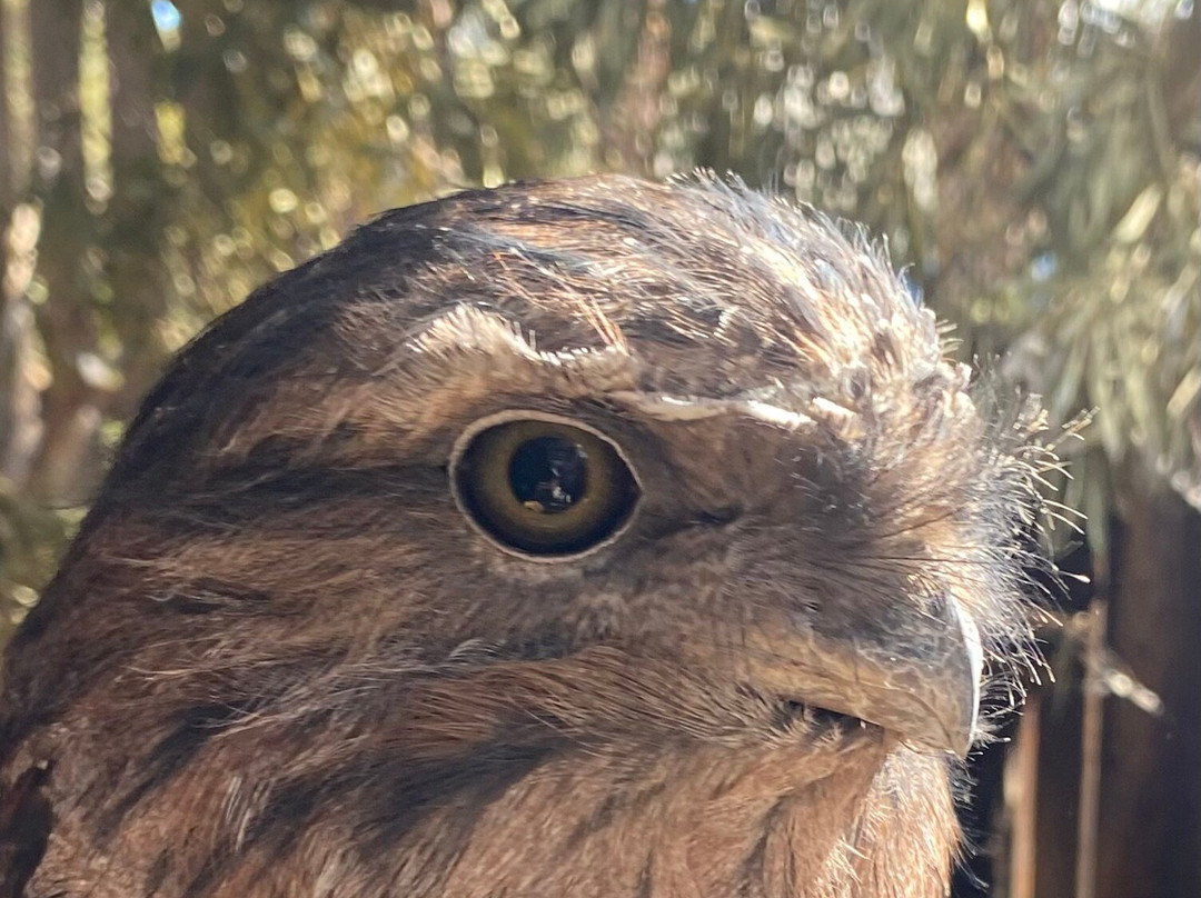 Raptor Refuge-Kettering必去景点