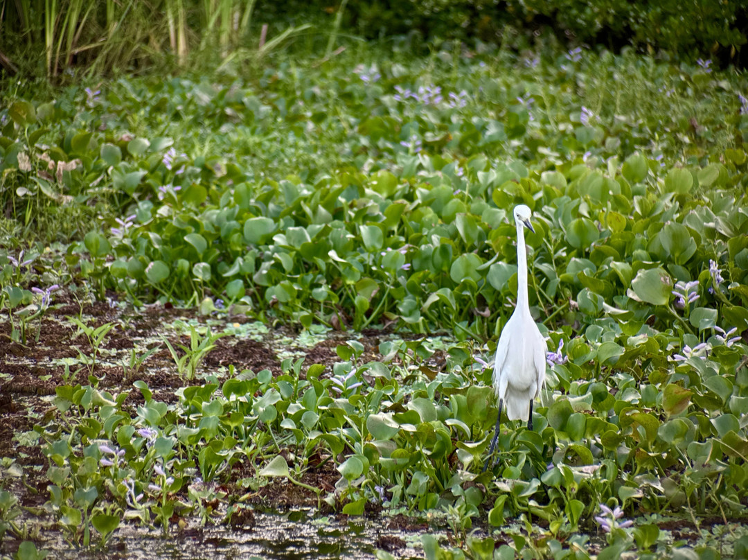 Wildlife Wonders Sri Lanka-唐卡拉必去景点