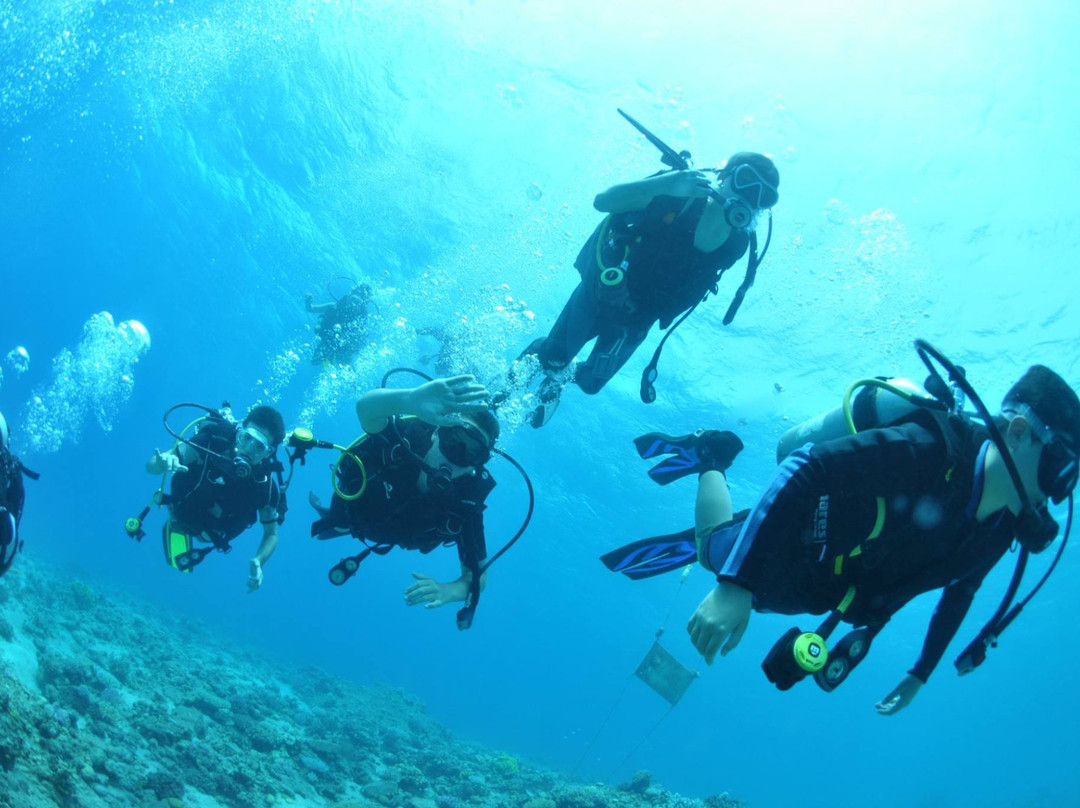 Out of the Blu-Modiin必去景点