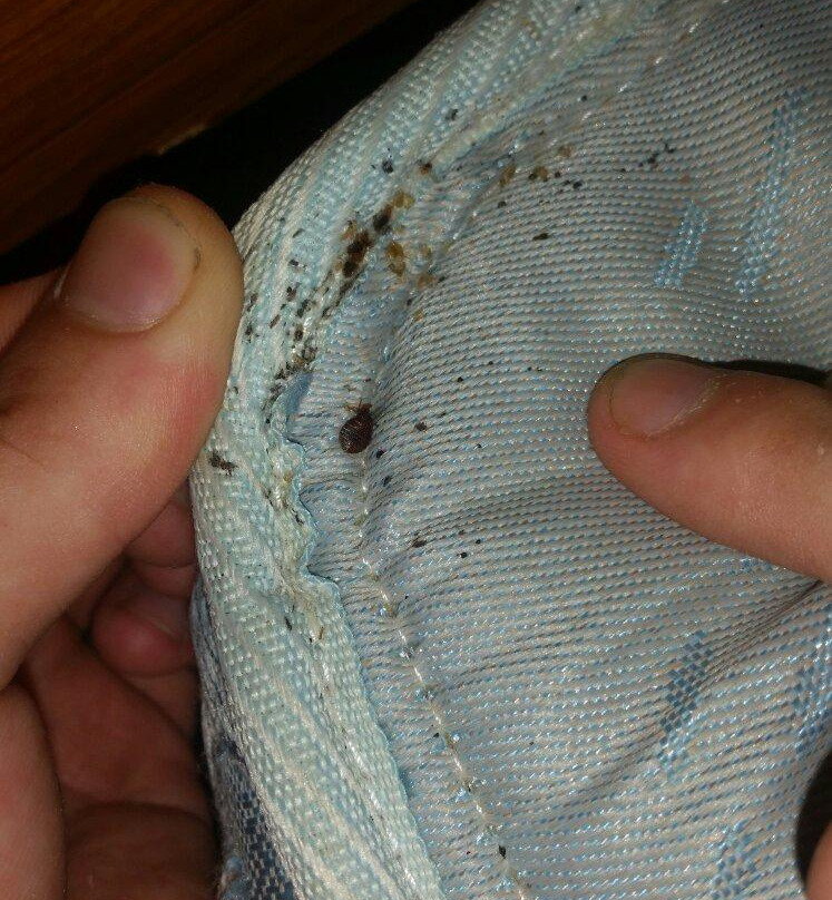 Royal Centrepoint Motel