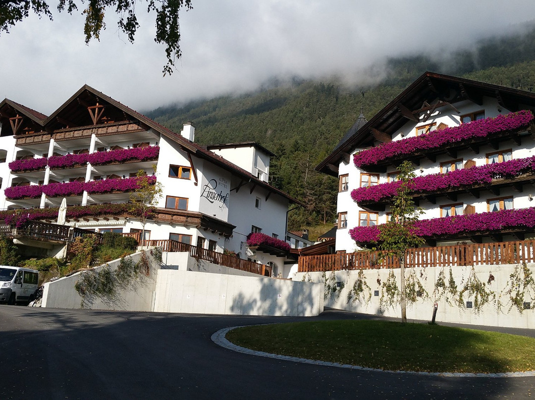 Pfafflar酒店住宿-Alpenhotel Linserhof