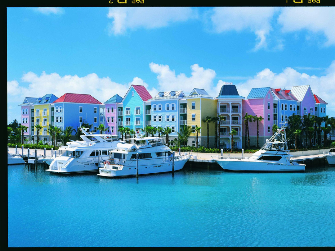 天堂岛酒店住宿-Atlantis - Harborside Resort