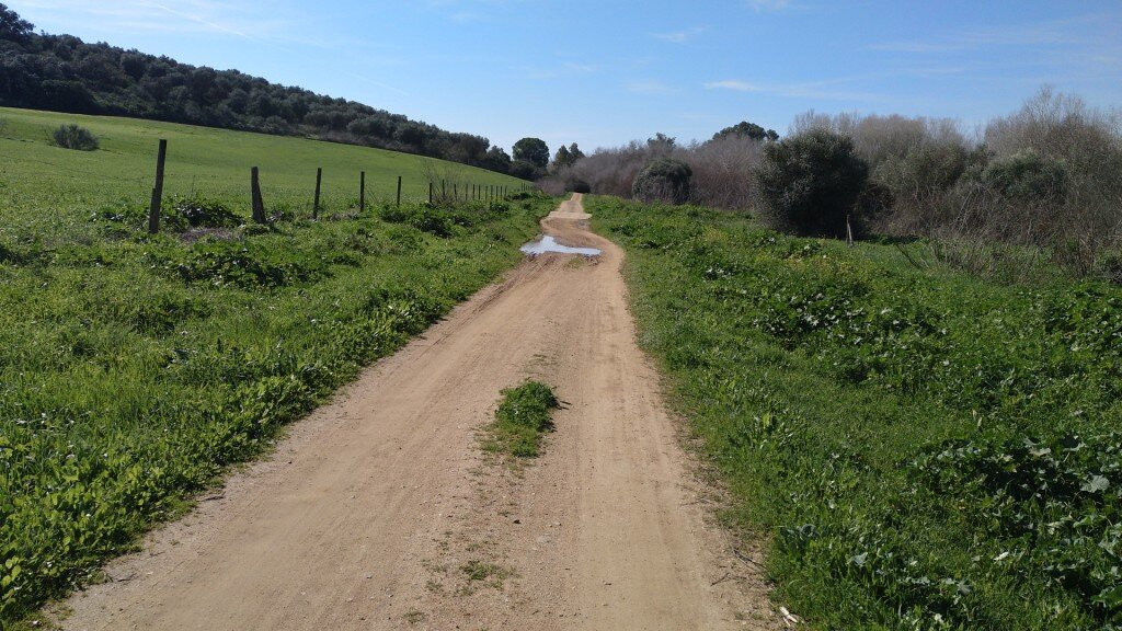 Corredor Verde Del Río Guadiamar-Aznalcazar必去景点