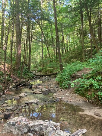 Auxier Ridge Trail #204-Slade必去景点