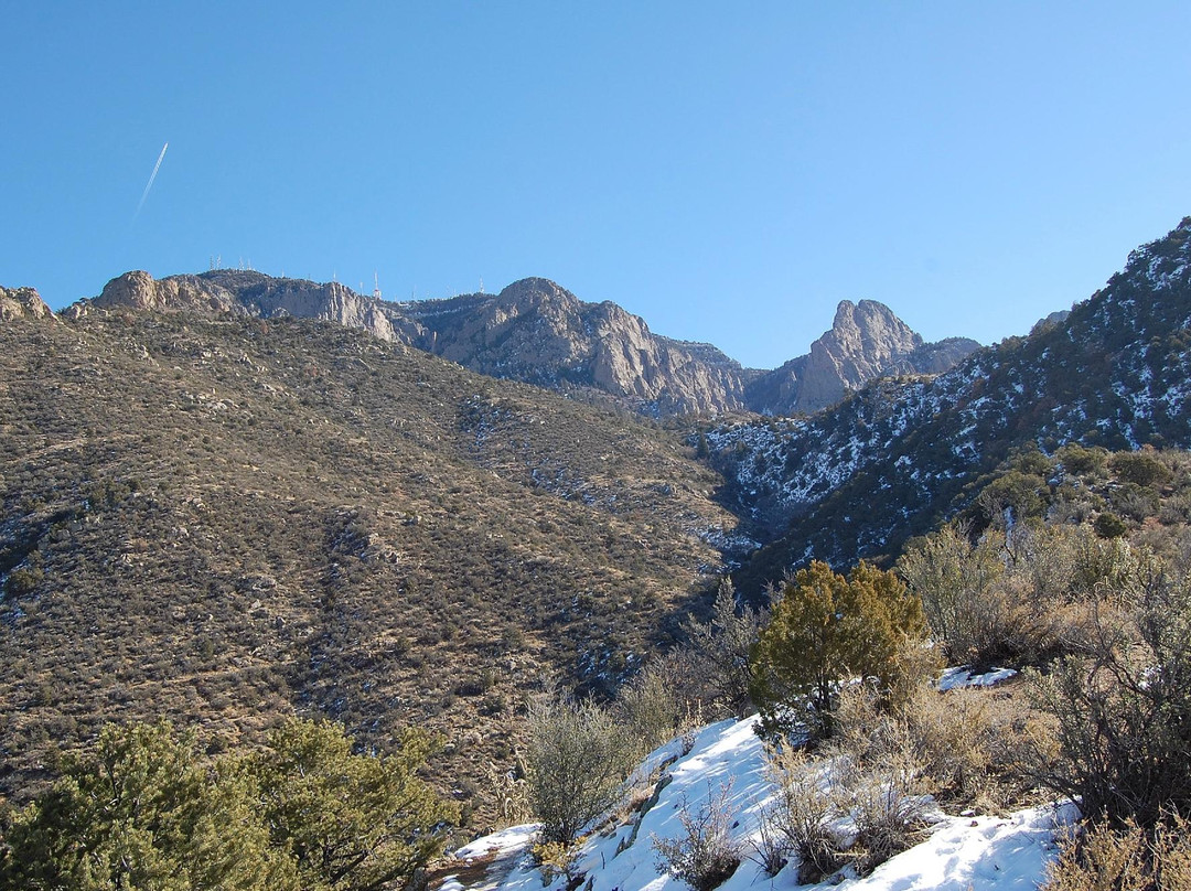 Cibola National Forest景点图片