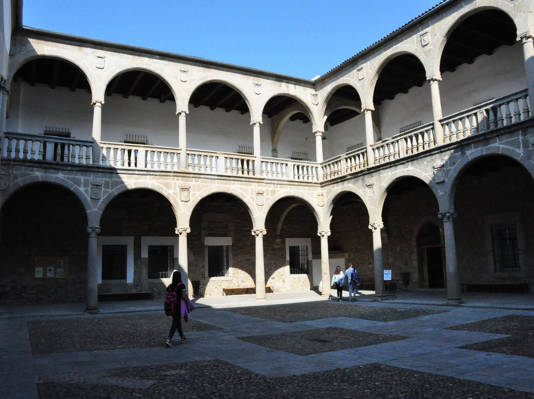 Palacio Ducal de Bejar景点图片