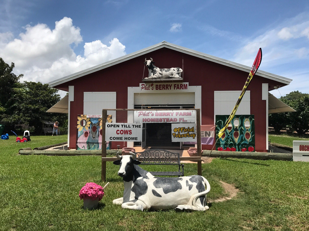 Phil's Berry Farm-迈阿密必去景点