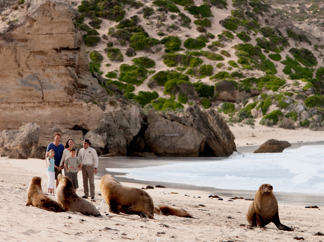 Kangaroo Island Trails景点图片