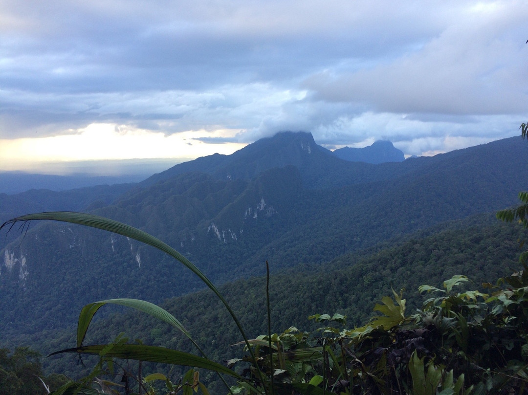 Gunung Mulu Summit Trek