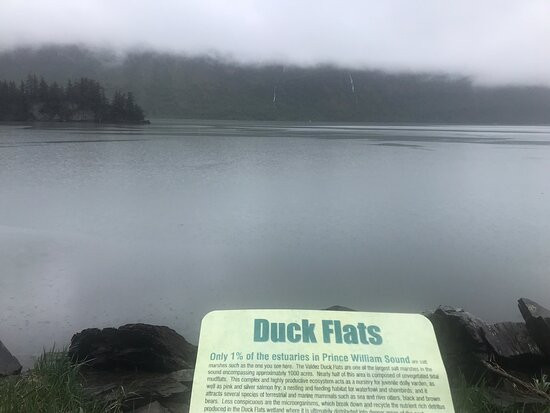 Dock Point Park & Trail-瓦尔迪兹必去景点