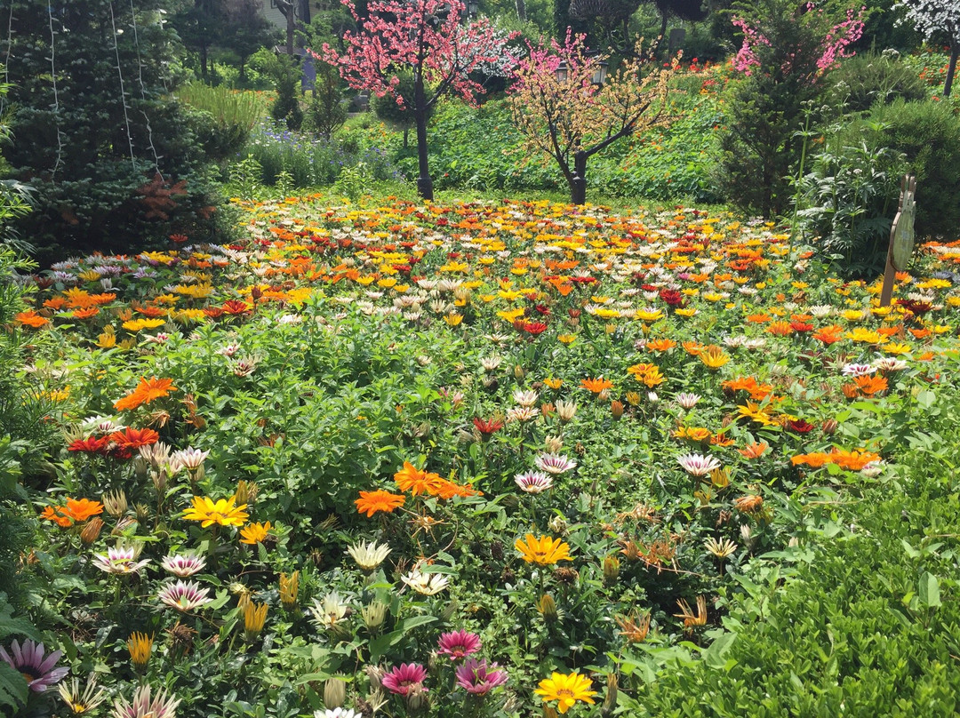 抱川市旅游景点-Herb Island