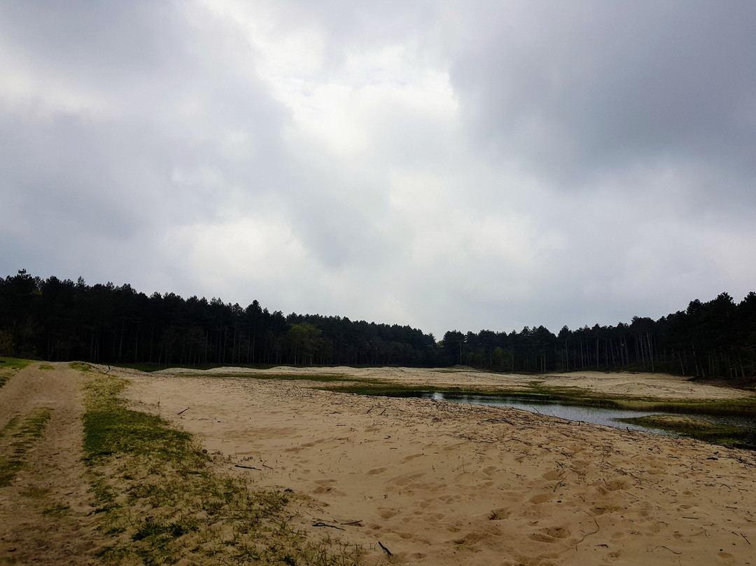 Natuurgebied Oranjezon