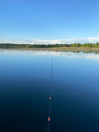 Paradise Resort主图