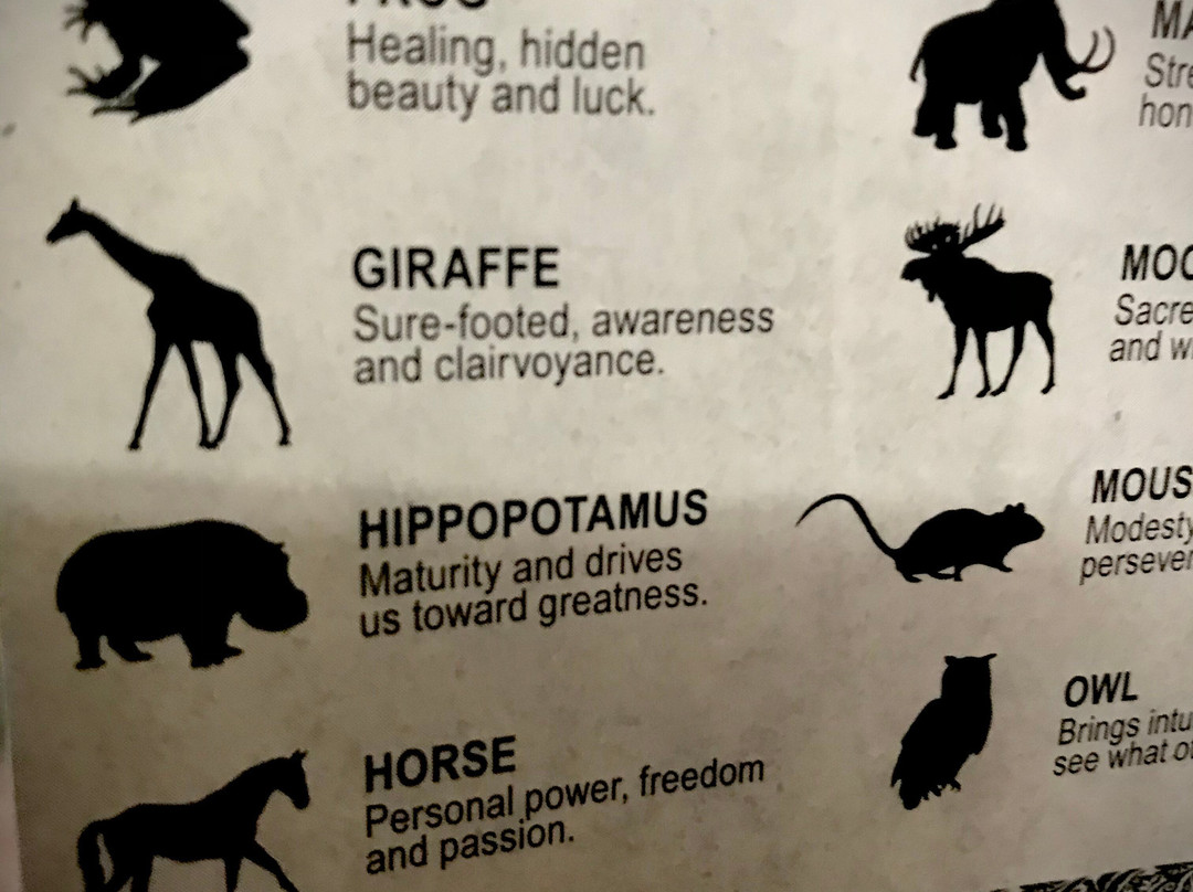 Crystal Wand Creations-科科莫必去景点