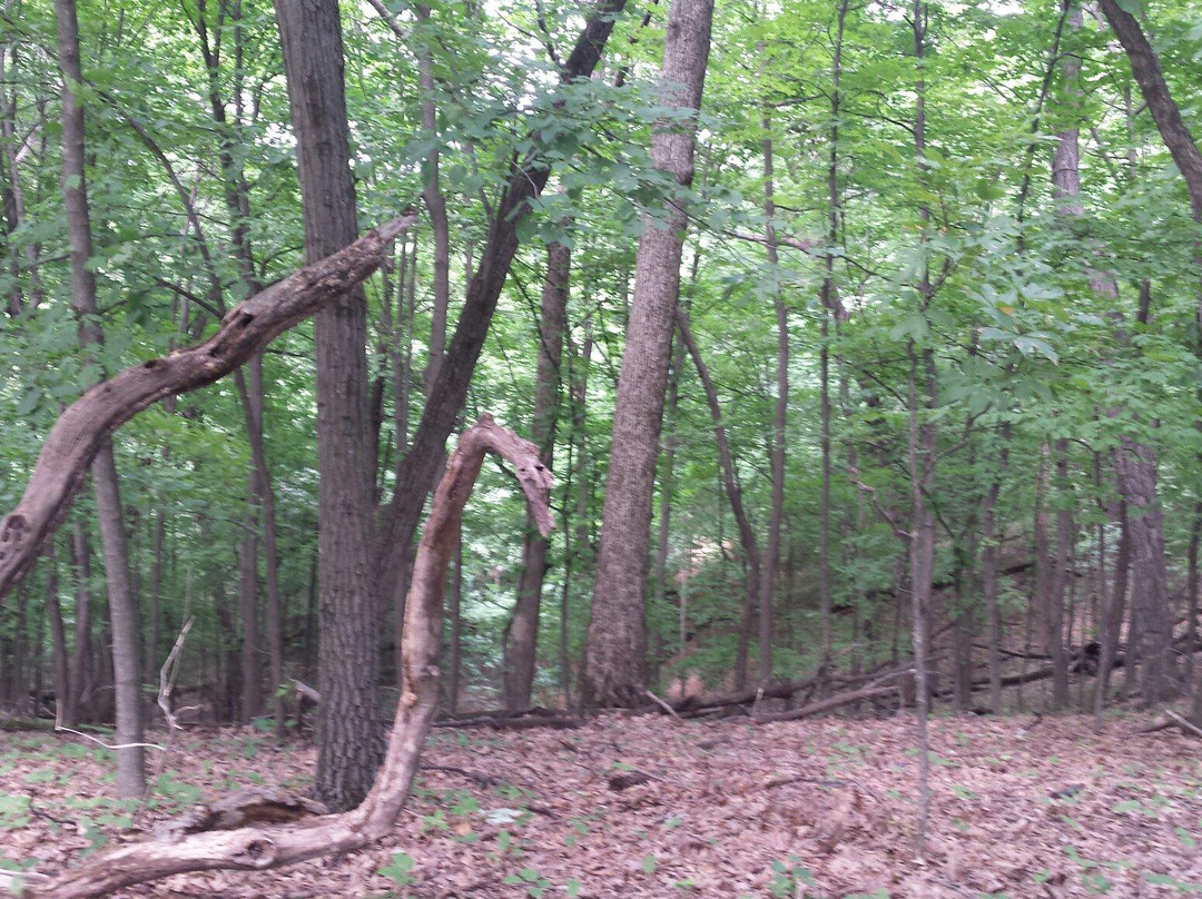 Forest Park Nature Center-皮奥里亚必去景点