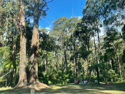 Olinda Falls-奥林达必去景点