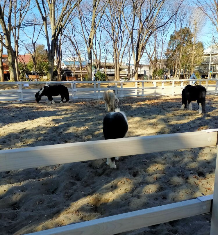Higashiitabashi Park Children's Zoo-板桥区必去景点