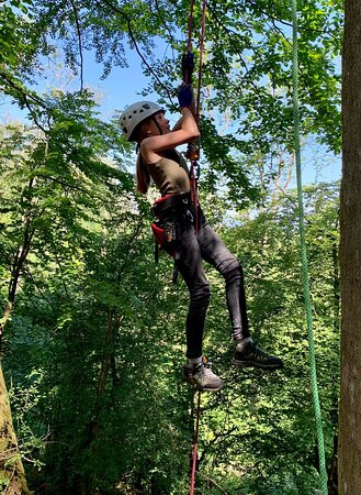 Social Tree Climbers景点图片
