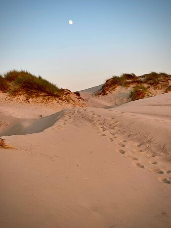 Oceano Dunes State Vehicular Recreation Area景点图片