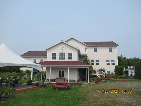 Vignoble Chemin De La Riviere-梅戈格必去景点