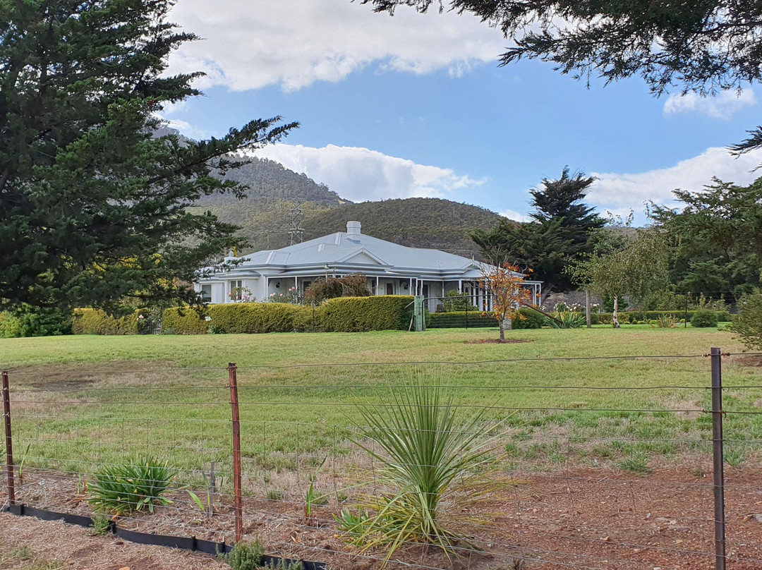 Derwent Cliffs Walk-New Norfolk必去景点