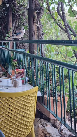 Hotel Beit Maimon主图