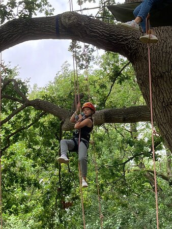 Goodleaf Tree Climbing-赖德必去景点