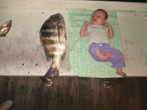 Outlaw Charters FMB-迈尔斯堡海滩必去景点