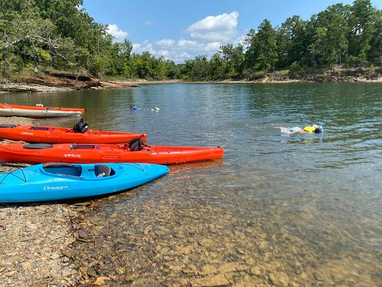 Ouachita Kayak Tours景点图片