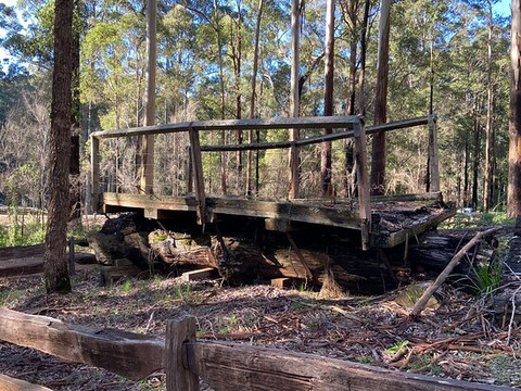 One Tree Bridge-Manjimup必去景点