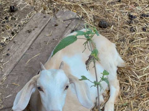 Sech Tourist Ecopark