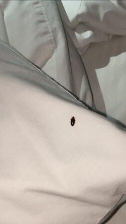 Microtel Inn & Suites by Wyndham Wilson主图