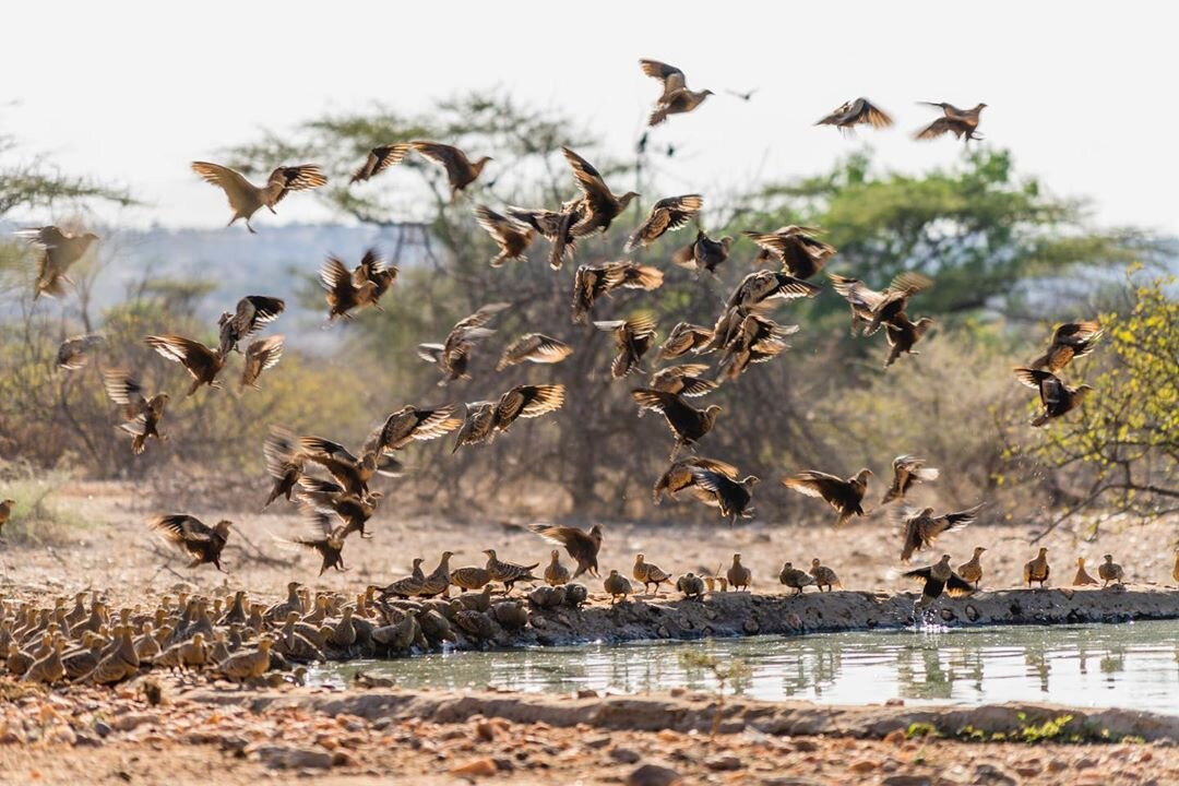 Taste Of Africa Adventures-Kimana必去景点