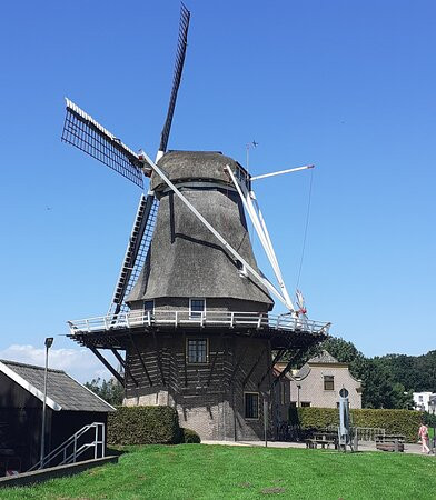 Molen 'de Zwaluw' (1784)-Hasselt必去景点