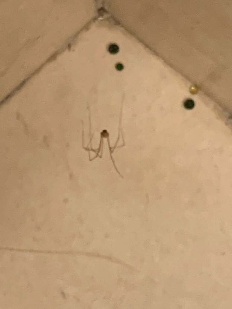 Courtyard by Marriott Philadelphia Great Valley/Malvern-浴室