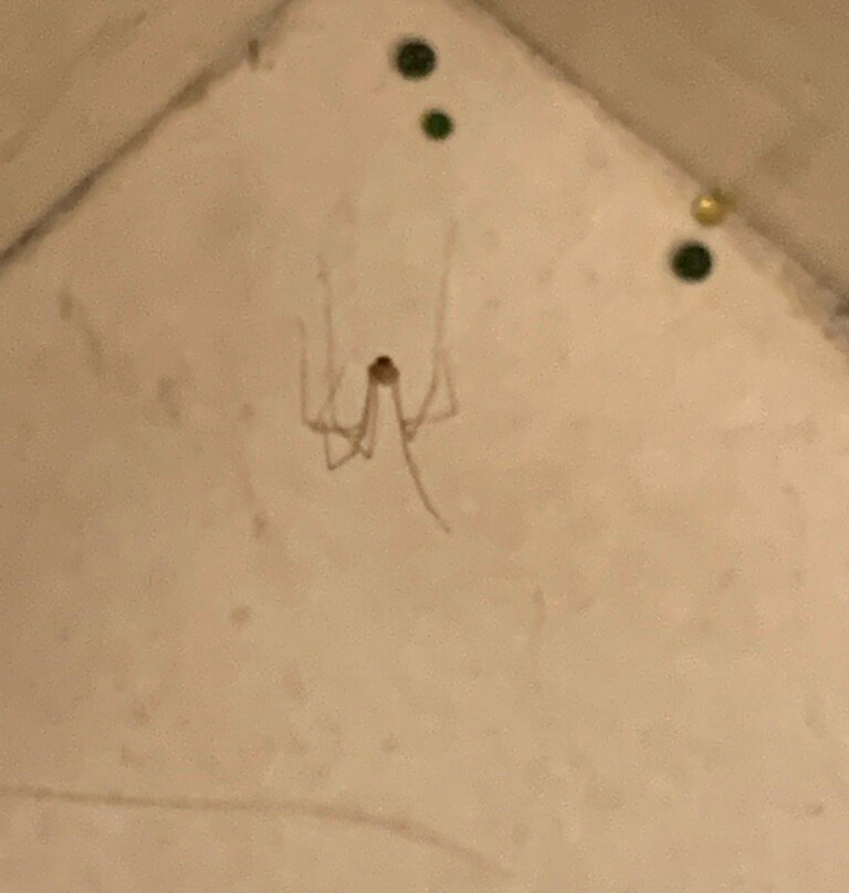 Courtyard by Marriott Philadelphia Great Valley/Malvern主图