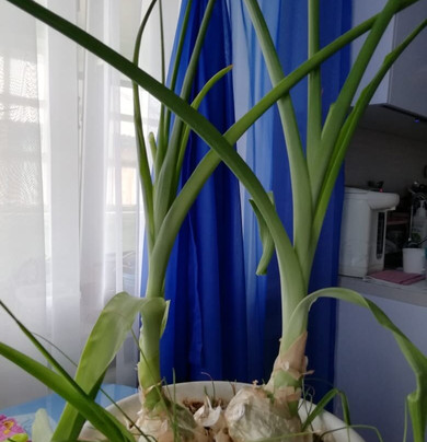 Slavgorod酒店住宿-Randevu