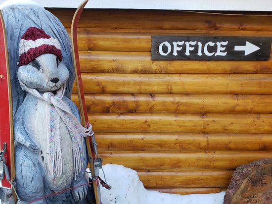 Grey Squirrel Resort-官方