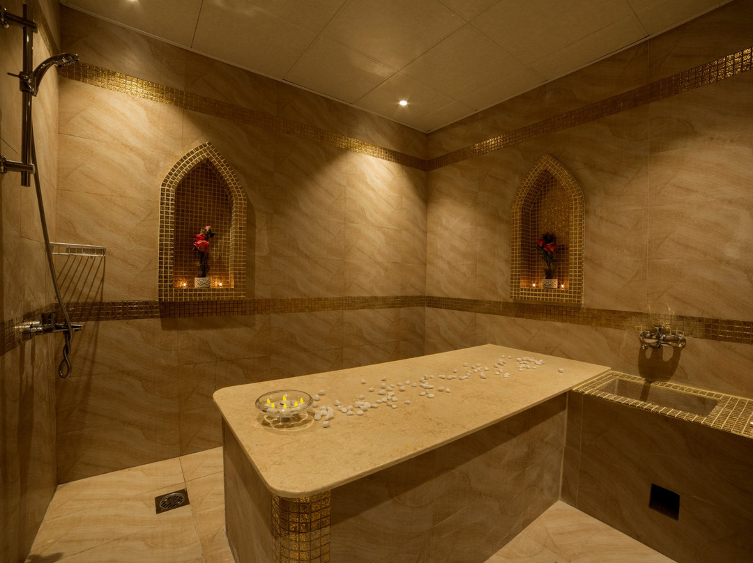 Hotel Royal Residence主图