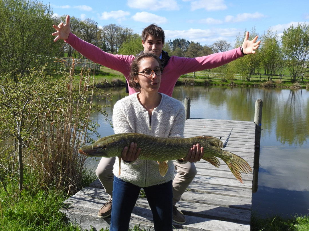 Domaine de Louveraude主图