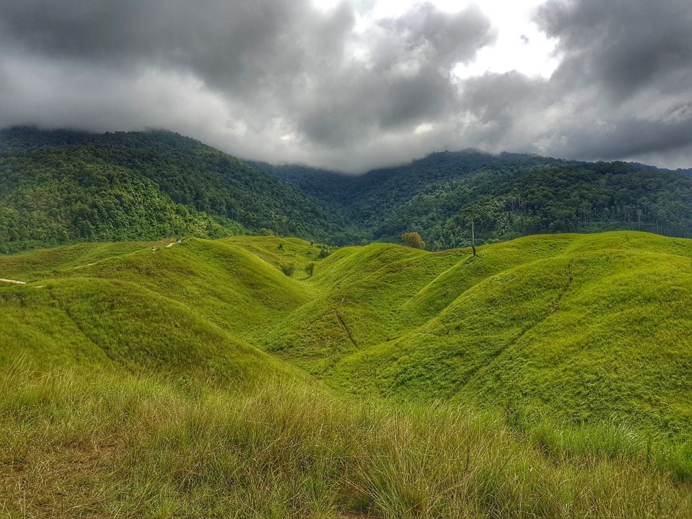 Teletubbies Hill景点图片