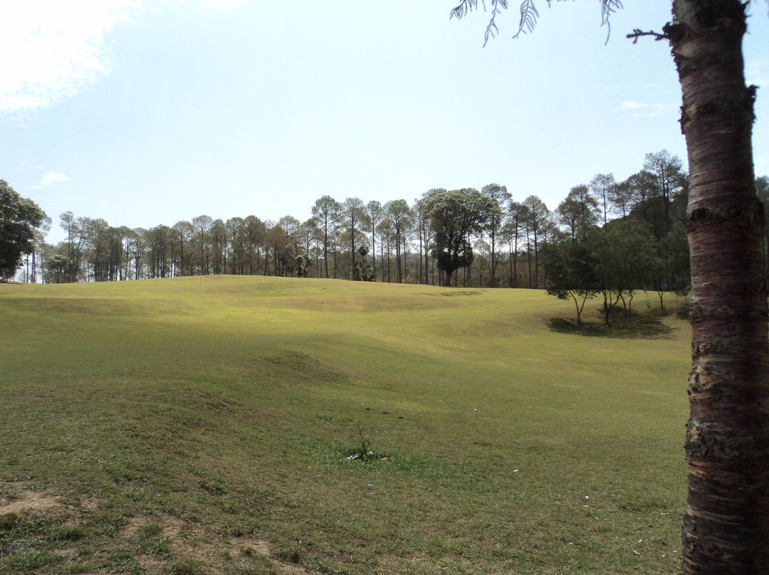 Golf Ground Ranikhet景点图片