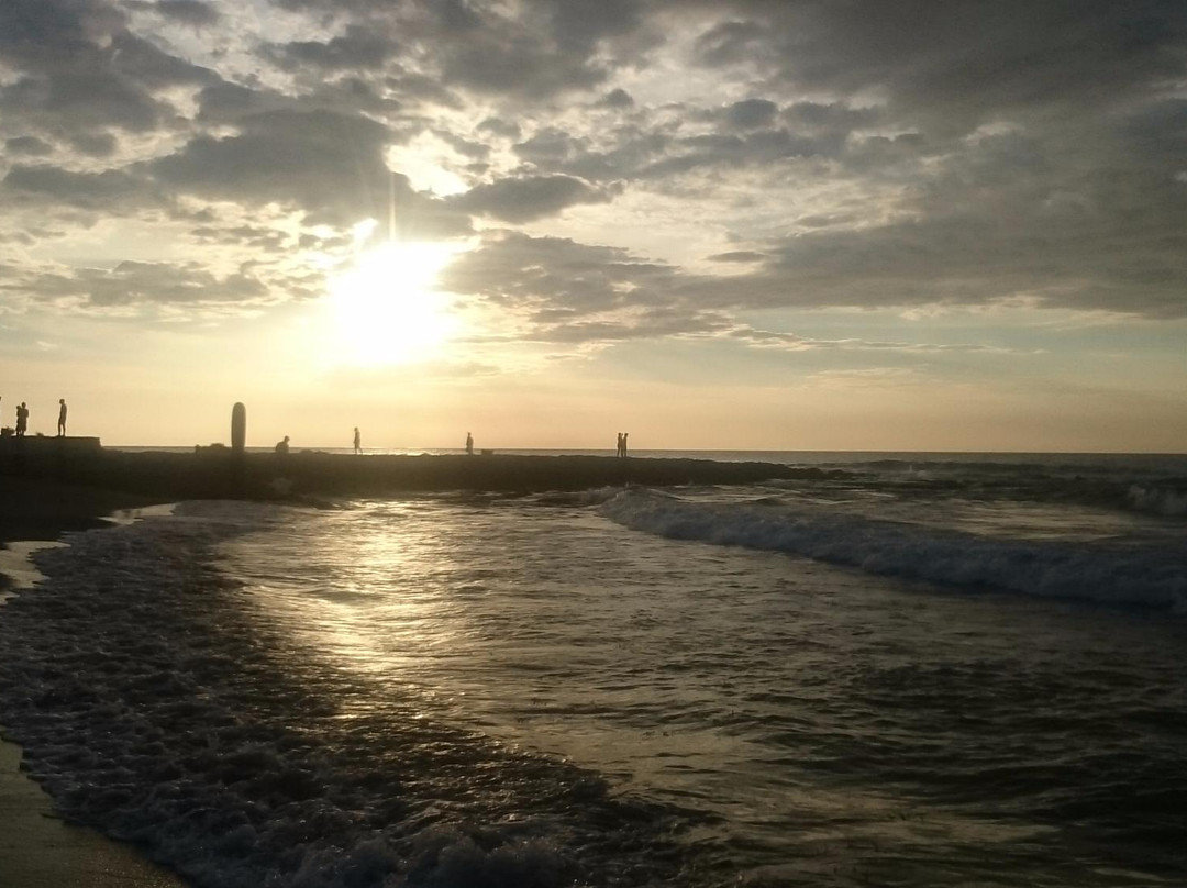 La Union Surf School景点图片